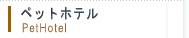 ybgze